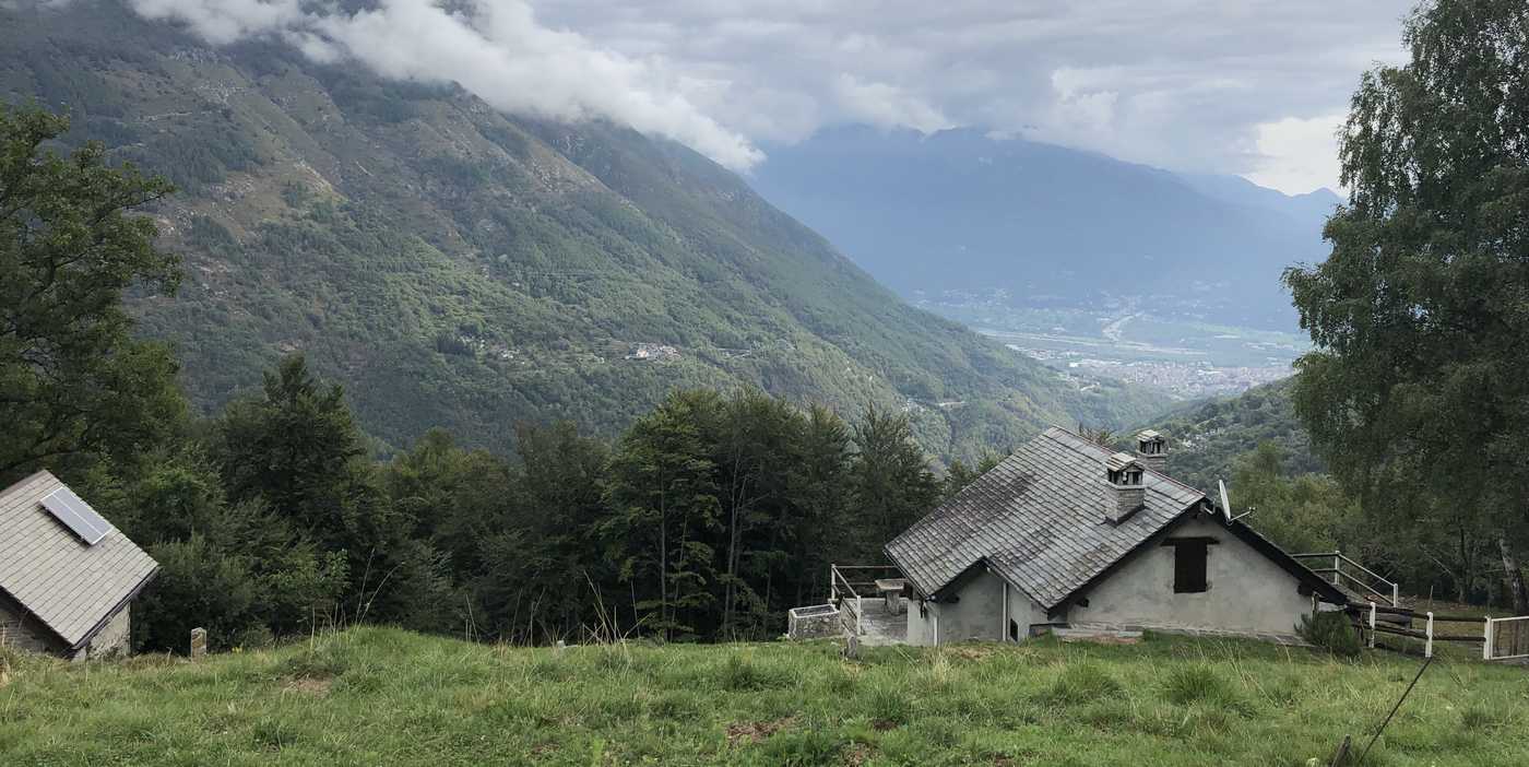 Italy&rsquo;s Forest Cover is Larger Than Agriculture Land for the First Time Since the Middle Ages